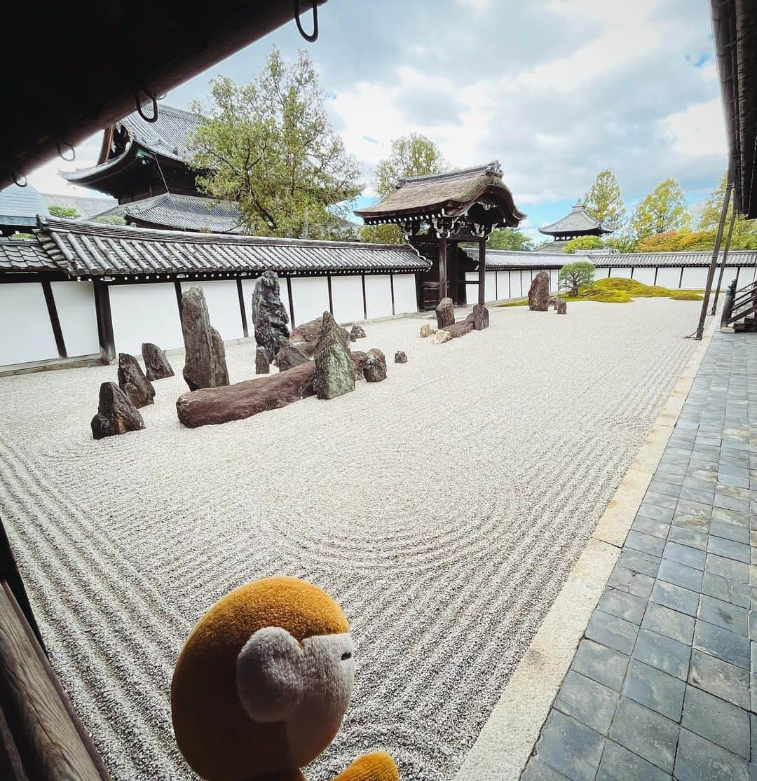 水谷さるころさんのインスタグラム写真 - (水谷さるころInstagram)「弾丸京都。東福寺にも行って来ました。東福寺、初めて行ったんだけど…すごくよかった〜。三門いかついしかっこいい。本堂も天井の龍もめちゃくちゃかっこいいし、何もかも大きくてびっくりした。庭もどこを撮ってもフォトジェニック。デザインが本当に素晴らしい。京都は見るところいっぱいだなと思う。」10月30日 19時42分 - salucoro