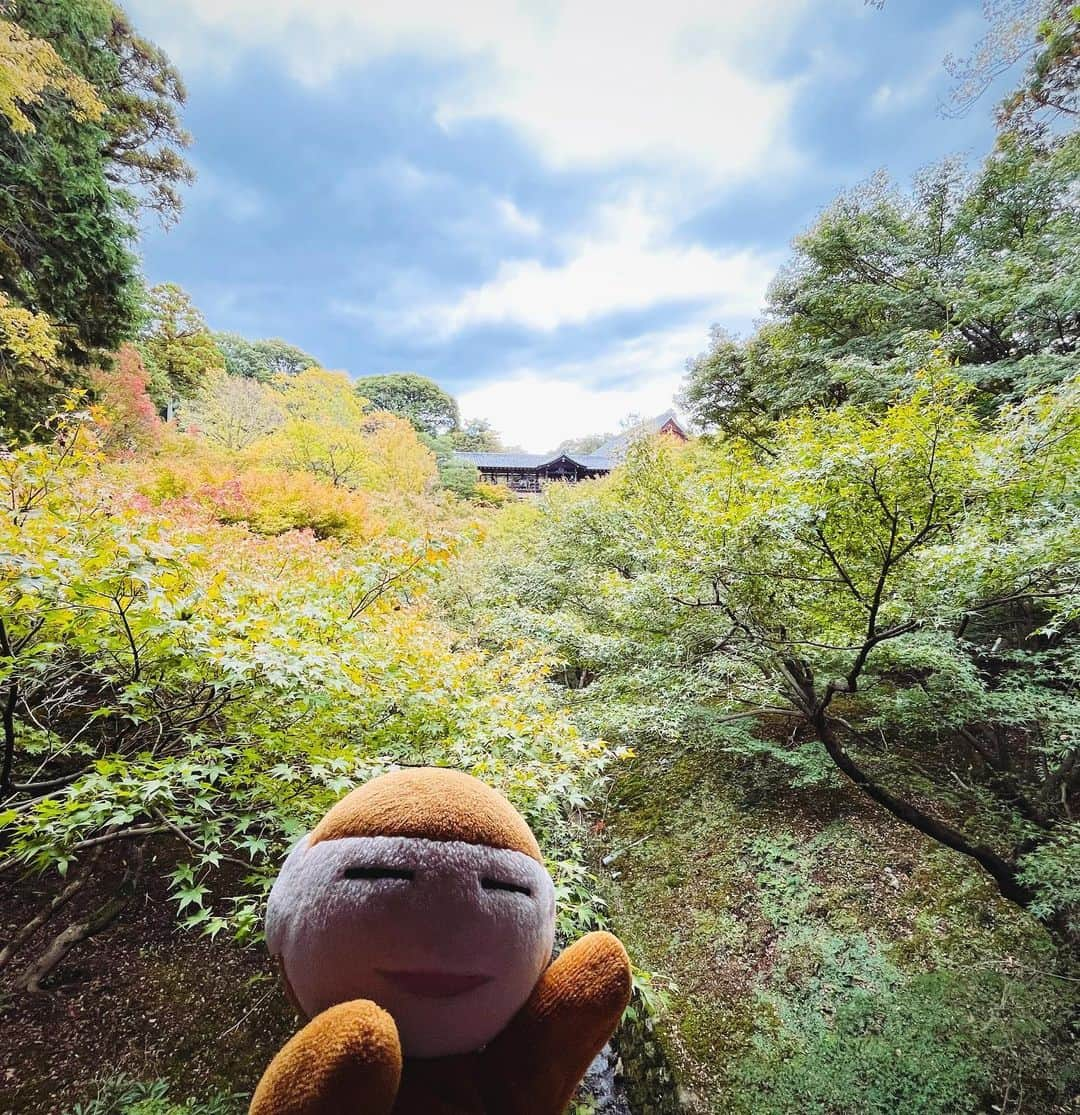 水谷さるころさんのインスタグラム写真 - (水谷さるころInstagram)「弾丸京都。東福寺にも行って来ました。東福寺、初めて行ったんだけど…すごくよかった〜。三門いかついしかっこいい。本堂も天井の龍もめちゃくちゃかっこいいし、何もかも大きくてびっくりした。庭もどこを撮ってもフォトジェニック。デザインが本当に素晴らしい。京都は見るところいっぱいだなと思う。」10月30日 19時42分 - salucoro