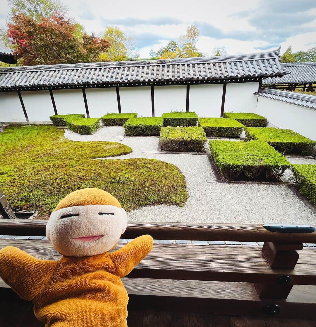 水谷さるころさんのインスタグラム写真 - (水谷さるころInstagram)「弾丸京都。東福寺にも行って来ました。東福寺、初めて行ったんだけど…すごくよかった〜。三門いかついしかっこいい。本堂も天井の龍もめちゃくちゃかっこいいし、何もかも大きくてびっくりした。庭もどこを撮ってもフォトジェニック。デザインが本当に素晴らしい。京都は見るところいっぱいだなと思う。」10月30日 19時42分 - salucoro