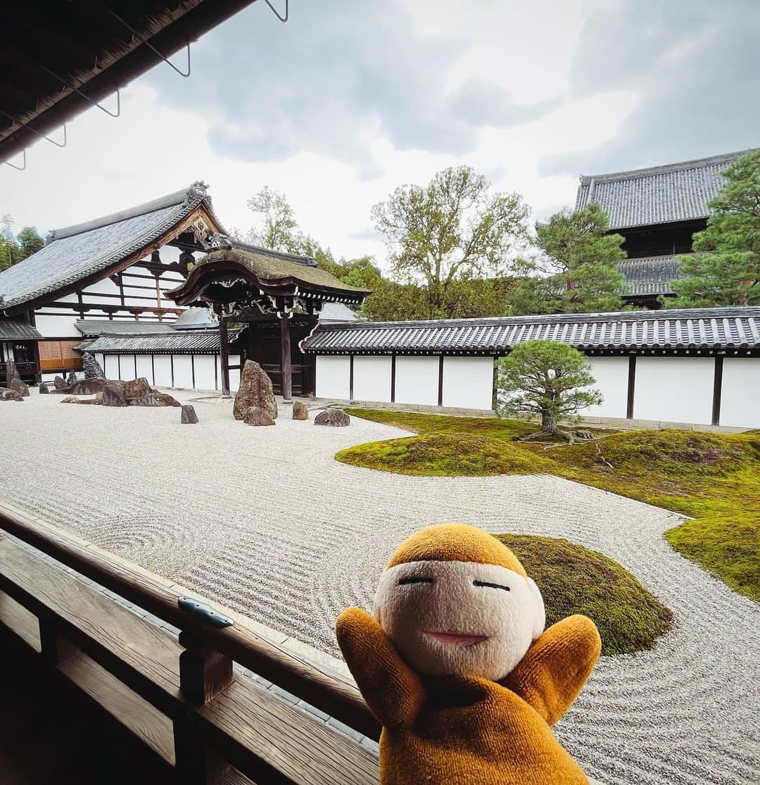 水谷さるころさんのインスタグラム写真 - (水谷さるころInstagram)「弾丸京都。東福寺にも行って来ました。東福寺、初めて行ったんだけど…すごくよかった〜。三門いかついしかっこいい。本堂も天井の龍もめちゃくちゃかっこいいし、何もかも大きくてびっくりした。庭もどこを撮ってもフォトジェニック。デザインが本当に素晴らしい。京都は見るところいっぱいだなと思う。」10月30日 19時42分 - salucoro