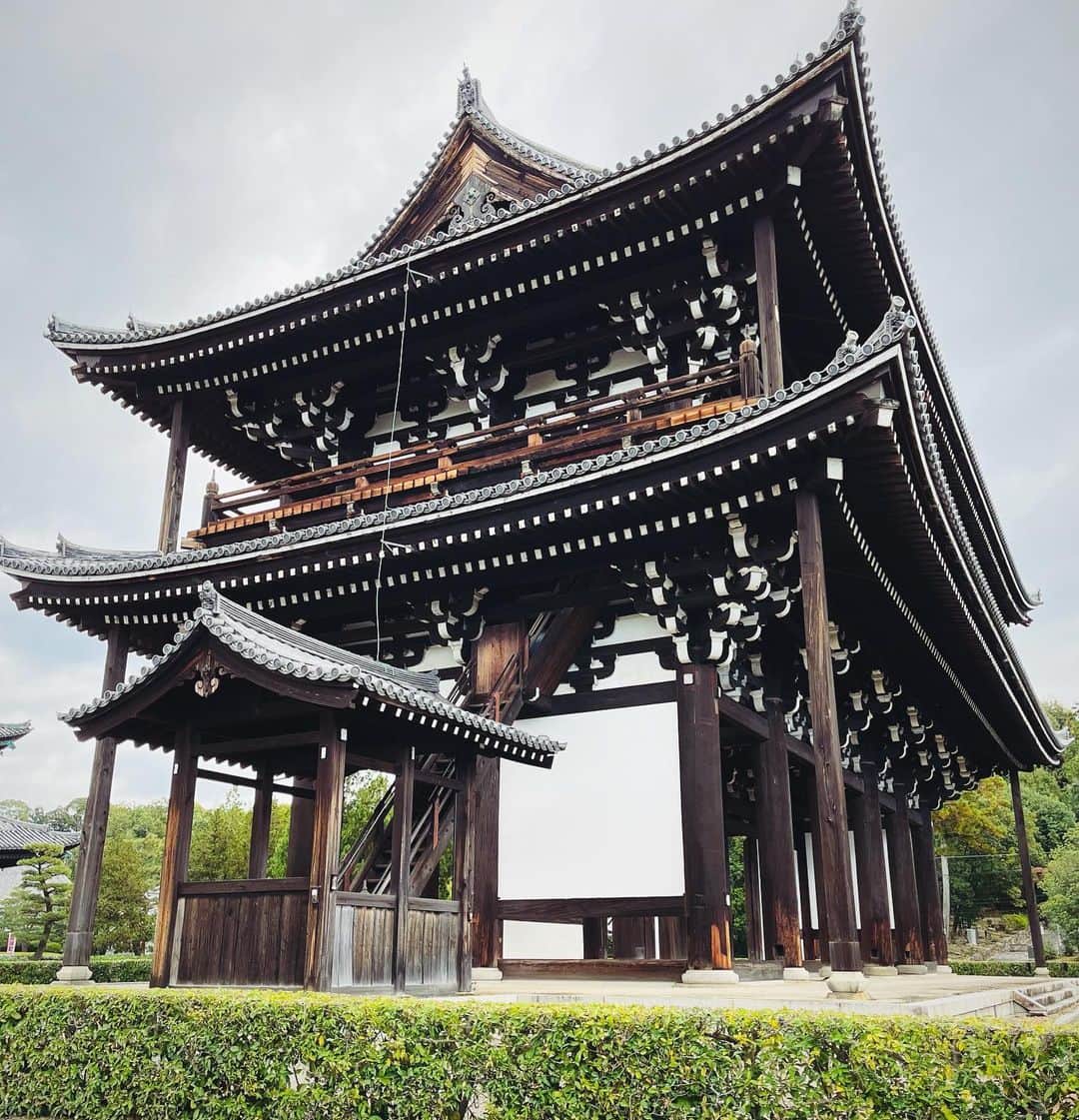 のインスタグラム：「弾丸京都。東福寺にも行って来ました。東福寺、初めて行ったんだけど…すごくよかった〜。三門いかついしかっこいい。本堂も天井の龍もめちゃくちゃかっこいいし、何もかも大きくてびっくりした。庭もどこを撮ってもフォトジェニック。デザインが本当に素晴らしい。京都は見るところいっぱいだなと思う。」
