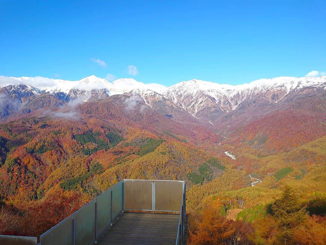 白馬岩岳スノーフィールドのインスタグラム：「【非日常】 本日朝一は雲がほとんどない北アルプスを望むことができました。 白馬マウンテンハーバーに一番乗りをしたお客様は「日本じゃないみたい！」と友達と話していました。 まさにそのような絶景、非日常の空間が広がっています。 岩岳山頂は落葉が目立ってきましたが、落ち葉の広がる絨毯も素敵です。  冬が一日一日と近づいていますが、もう少しこの”秋”を楽しみたいですね。  #白馬岩岳マウンテンリゾート #白馬マウンテンハーバー #白馬ヒトトキノモリ #長野県 #白馬村 #白馬 #白馬岩岳 #絶景 #絶景テラス #三段紅葉 #紅葉シーズン #北アルプス #白馬三山 #落ち葉の絨毯  #お出かけスポット #絶景スポット #長野旅行 #秋の風景 #秋旅 #ここでしか見られない景色  #今しか見られない景色 #朝早めがオススメ  #nagano #hakuba #hakubavalley #hakubaiwatake #iwatake #autumncolors #hakubaiwatakemountainresort」