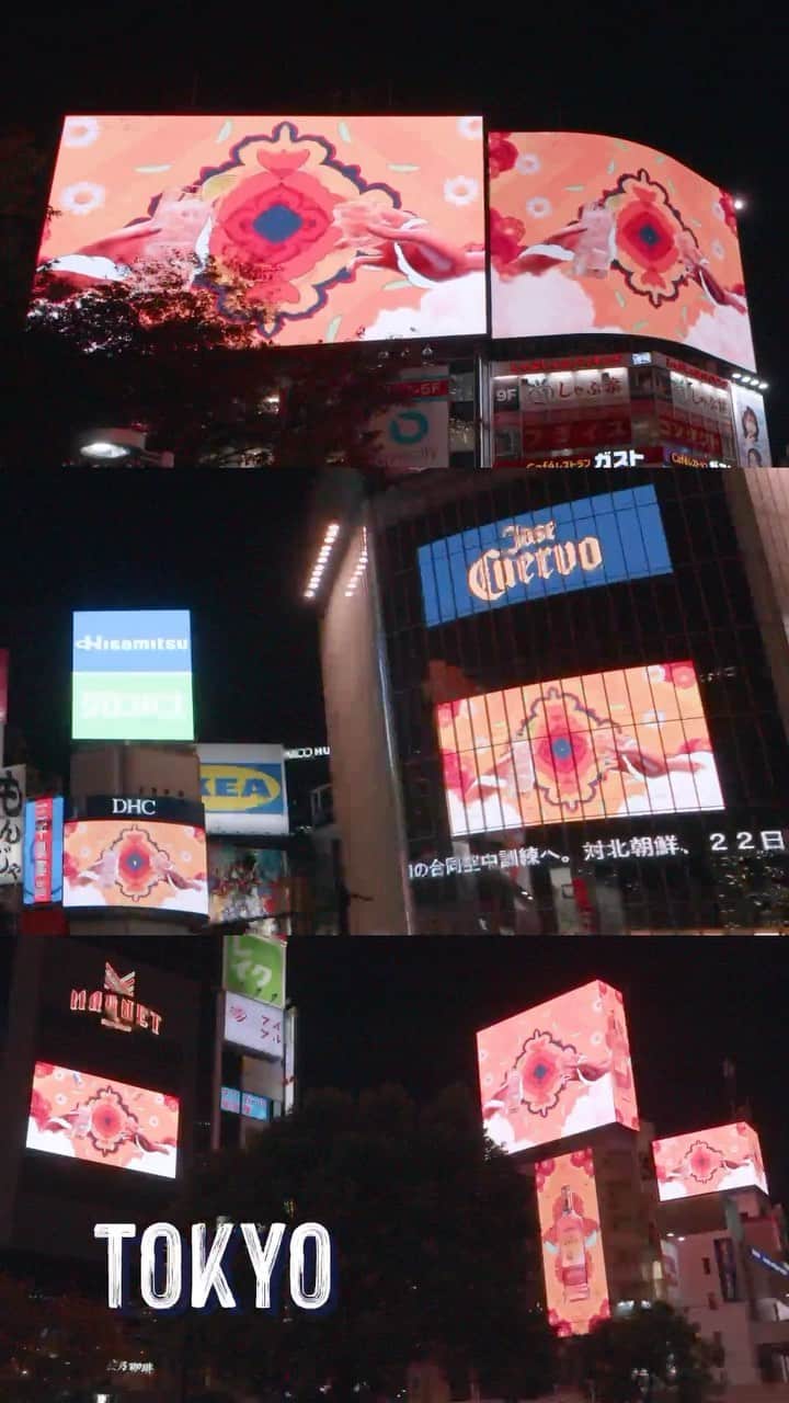 のインスタグラム：「クエルボの死者の日限定ボトル特別動画、みんなはもう見た??👀 今年はどどんと放映される範囲が拡大！なんと、今年は東京だけでなく、北は北海道から南は福岡まで、広告が放映されました🕺 広告見かけたよー！🙋‍♀️って方はコメント欄で教えてね！」