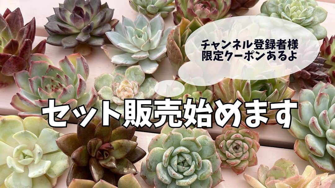 古本新乃輔のインスタグラム