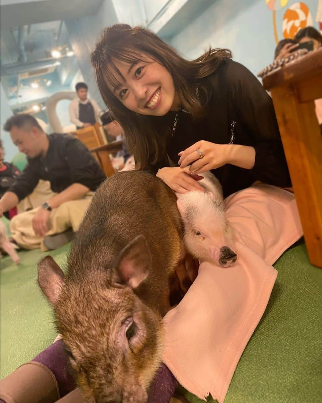 辰巳さくら（さくてん）さんのインスタグラム写真 - (辰巳さくら（さくてん）Instagram)「🐷mipig cafe 🐷  はあ😩🩷 可愛すぎて癒されたー😔🩷  #mipigcafe #mipigcafe大阪店  #ミニブタカフェ #みにぶた  #動物カフェ大阪 #動物カフェ  #動物好きな人と繋がりたい」10月30日 20時30分 - s.kten