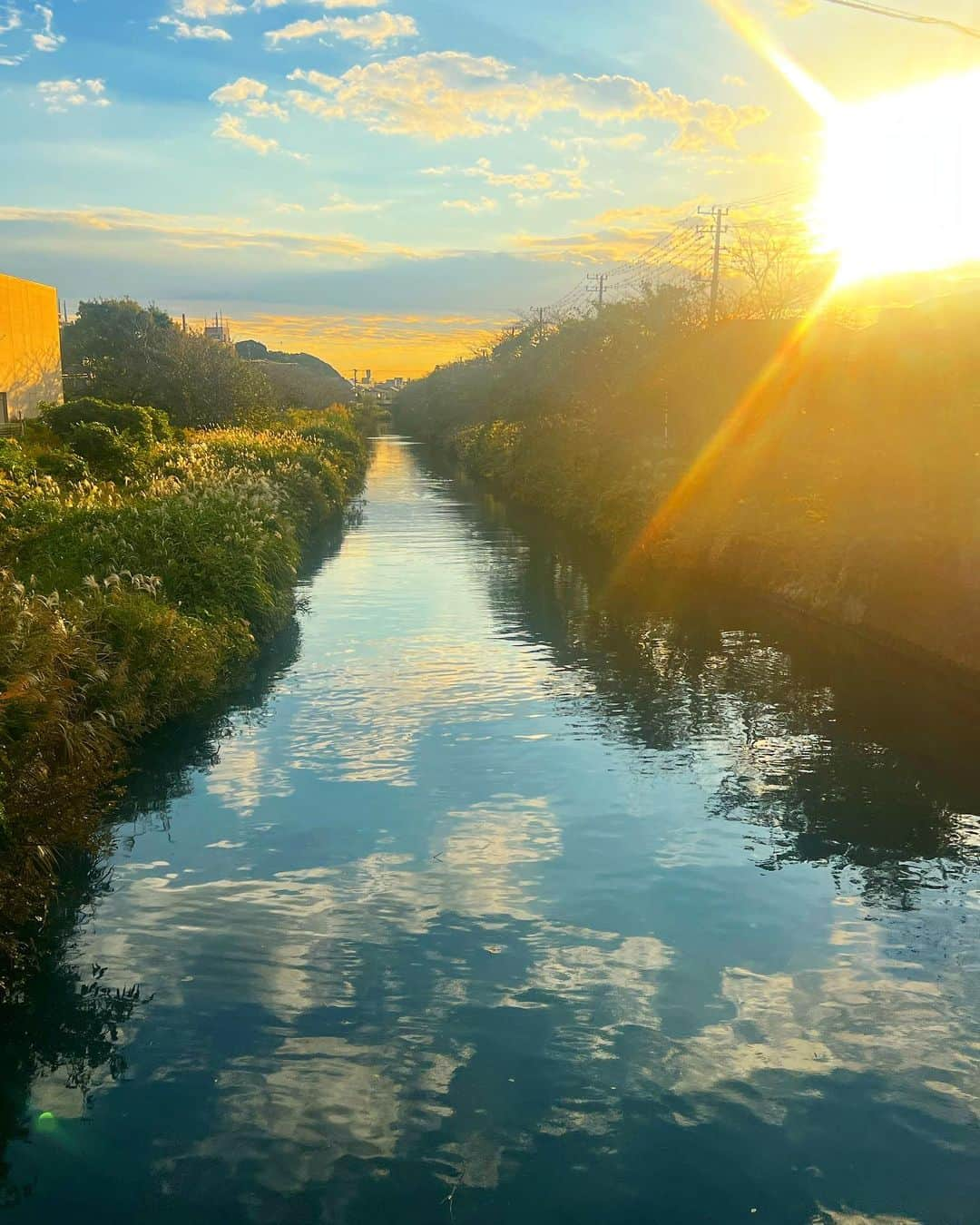 ヒコロヒーさんのインスタグラム写真 - (ヒコロヒーInstagram)「🌾🫓 モネはパリを愛してたけど 知らんかっただけで知ってたら木更津のことも愛したと思うで」10月30日 20時43分 - hiccorohee