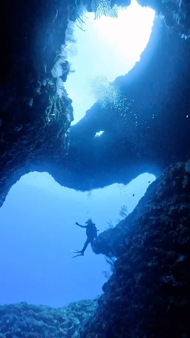 大関れいかのインスタグラム：「. 📍アントニオガウディ  水深35mの世界🫧🫧 大好きなポイント、地形がほんとすごいの。 宮古島の地形ダイビングは感動の連続💫 何回でも潜りたくなる！！ そしてさきちゃんの動画最強🩵  🛥️ @aquastory_miyakoisland  📷 @saaaaaki712   #宮古島#ダイビング」