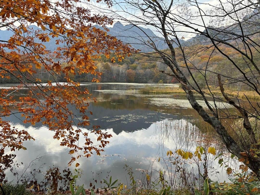 松山航大さんのインスタグラム写真 - (松山航大Instagram)「★ 長野市 戸隠の鏡池に行ってきました！ 紅葉見頃でした🍁 . 戸隠の山々が、水面に反射して映ってるのがきれい。 . 平地でも紅葉が進んできて、秋の深まりを感じますね😊 . #秋 #紅葉 #落ち葉 #長野市 #nagano #観光 #戸隠 #鏡池 #長野放送 #アナウンサー #松山航大」10月30日 20時49分 - kodai_matsuyama