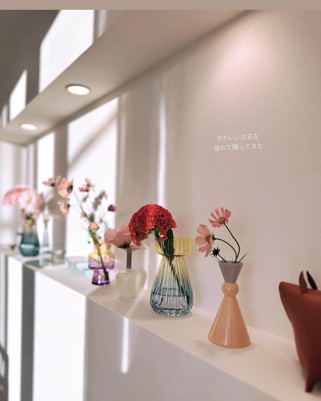 萩中ユウのインスタグラム：「ストーリーに載せたら人気だった我が家のお花たち🌷 チラ見えのスモークツリーもお気に入り。  #花のある暮らし」