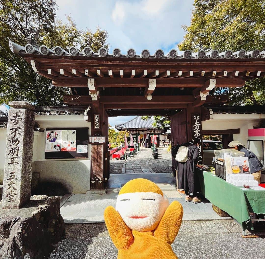 のインスタグラム：「東福寺散歩。「働く女性の守本尊」と言われてついふらふら入ってお守りと御朱印もらってしまった。同聚院。モルガンお雪という、明治期にモルガン一族と国際結婚した女性の菩提寺ということで、今もう「働く女性の守本尊」とされているのだそう。私も働く女性として出世したい…。ご利益ありますように😂」