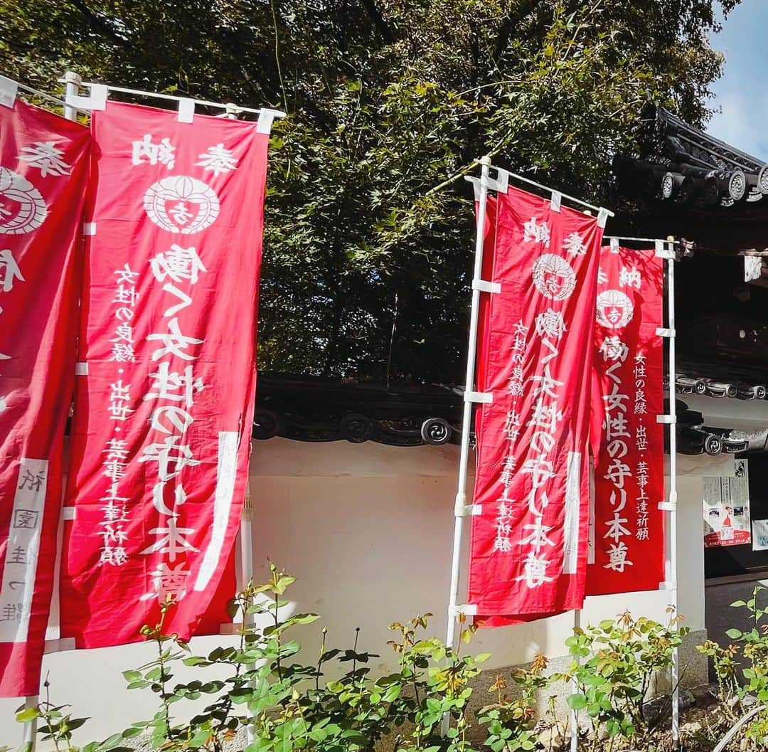 水谷さるころさんのインスタグラム写真 - (水谷さるころInstagram)「東福寺散歩。「働く女性の守本尊」と言われてついふらふら入ってお守りと御朱印もらってしまった。同聚院。モルガンお雪という、明治期にモルガン一族と国際結婚した女性の菩提寺ということで、今もう「働く女性の守本尊」とされているのだそう。私も働く女性として出世したい…。ご利益ありますように😂」10月30日 21時06分 - salucoro