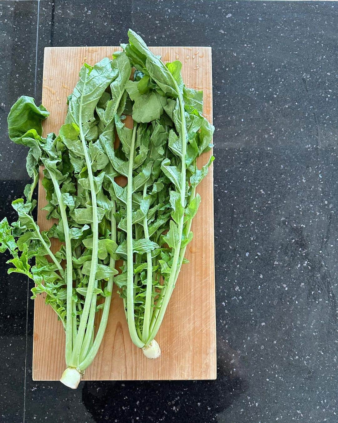 近藤しづかのインスタグラム：「大根の葉っぱで 菜飯を作りました🌱  残ったごはんはおにぎり🍙 歯ごたえがシャキシャキで おいしい😌  最近葉つきの大根を 見かけなくなってしまったけれど 葉っぱも皮も大根！  カロテン、ビタミンC、カルシウム、食物繊維 の宝庫ですから 捨てるなんてもったいないです  食品をもっと無駄なく使うと 栄養が摂れるだけでなく 食品のロスにもつながるはず🌈✨  「菜飯」 青菜　50g 塩　小さじ1/3 ごはん　500g  1. 青菜はたっぷりの熱湯でゆでる 水にとって水気をしぼり、細かくきざむ。水気をしぼり、塩をまぶす。 2.温かいごはんに1を加え、混ぜる。  途上国の学校給食支援につながる #ごちそうさまチャレンジ 明日で終了📣  #ごちそうさまチャレンジで飢餓をなくそう  #ラップでおいしく保存  #大根の葉っぱ  #懐かしい味」