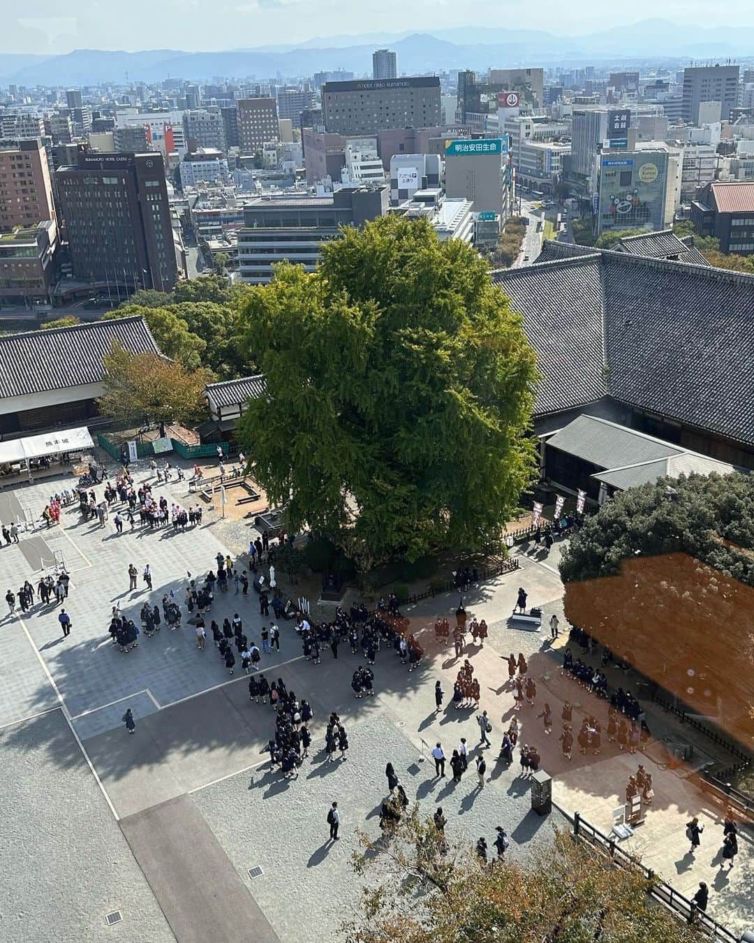 吉竹美聡のインスタグラム：「🏯Kumamoto🚃Fukuoka♥️ 立派な熊本城に銀杏の木 長い年月いろんな景色を見てきたんだろうなと感じる重厚感がすごかった🗺️🧳 太宰府にも参拝する事ができて、たくさん歩いてたくさん美味しいグルメにも出会いました🍣🍜🥟 九州また行きたい♥️！  #熊本#福岡#太宰府#熊本城」