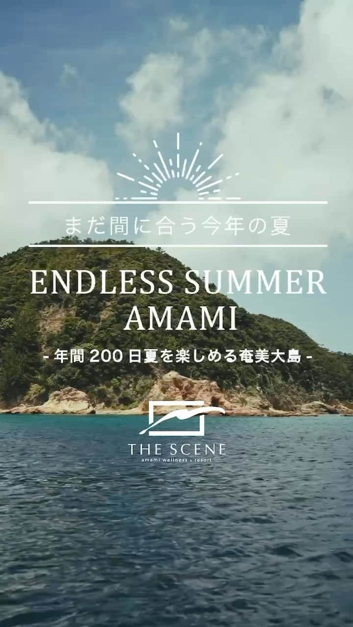 HOTEL THE SCENE -ホテル ザ シーン- のインスタグラム：「まだまだ夏は終わらない奄美大島の夏「ENDRESS SUMMER AMAMI」キャンペーンは「今こそ鹿児島の旅」対象です。  奄美の9~11月の最高平均気温は27.8℃ 年間200日間も夏を楽しめるといわれる奄美大島の最南端にあるウェルネスリゾート「THE SCENE」で、まだまだ終わらない夏を満喫して頂けるキャンペーン「ENDRESS SUMMER AMAMI」を開催中です。  その第一弾、皆様を「おもてなしの心」で歓迎する「ALOHA CAMPAIGN」です。 期間限定のハワイアンフードや毎週日曜日に開催するフラダンスショー。他にもフラダンス体験レッスンや手持ち花火のプレゼントなど、さまざまなおもてなしをご用意しております。  2023年8月アメリカハワイ州マウイ島で発生した山火事によって失われた多くの命とマウイの自然に敬意と復興の祈りをこめ、キャンペーン期間中の売り上げの一部をハワイ州観光局経由にてマウイ島西部 山火事救援金をお送りします。  ＝＝＝ 🌿THE SCENE @the_scene_wellnessresort  静かな大自然の中で 心・体・脳を浄化するネイチャークレンズがコンセプト。 観光ではなく健康のための新しい旅のかたち。 本当の意味での休息を体験してみませんか？  #thescene #naturecleanse #amami #naturephotography #wellness #wellnessjourney #island #ALOHA #HAWAI #奄美大島 #世界自然遺産 #ネイチャークレンズ #リトリート #ウェルネス #海亀 #海亀と泳ぐ」