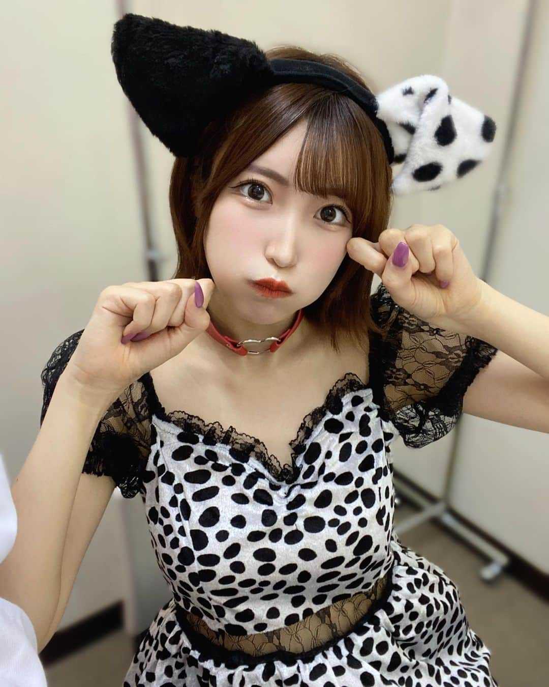 桜井まあかさんのインスタグラム写真 - (桜井まあかInstagram)「わんわんおー🐶🐾  #アイドル #地下アイドル #モデル #コスプレ #コスプレイヤー #コスプレ女子 #idol #japanesegirl #cosplay #cosplayer」10月30日 21時21分 - maaaaaka02