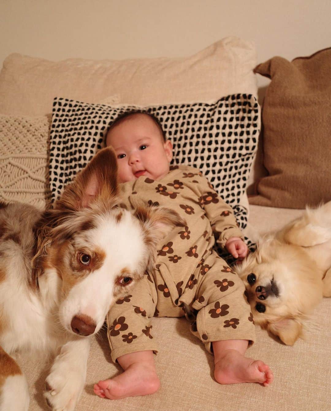 佐々木彩乃のインスタグラム