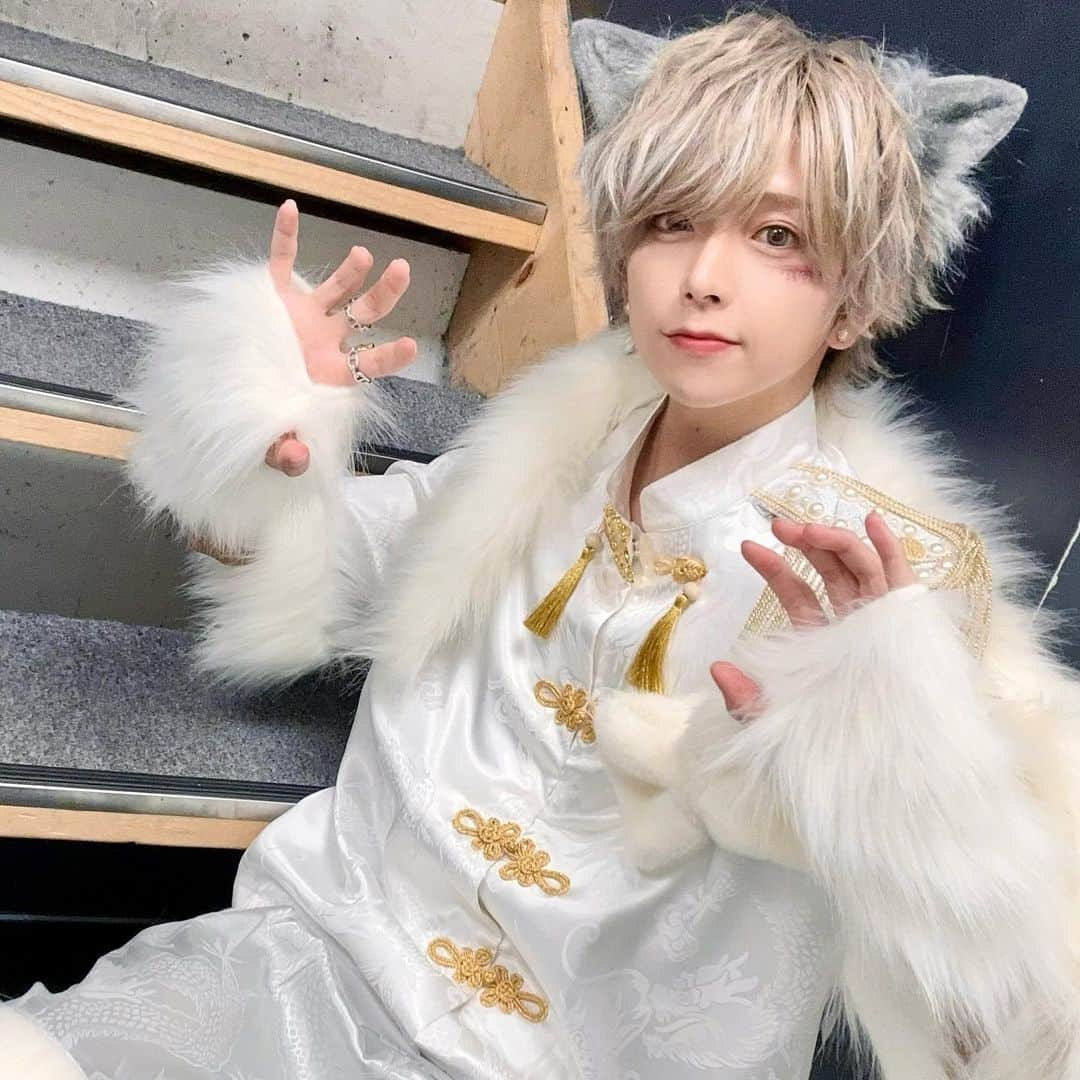 さくらくん。さんのインスタグラム写真 - (さくらくん。Instagram)「がおがお🐺🐈💕」10月30日 21時33分 - sakura_25nico