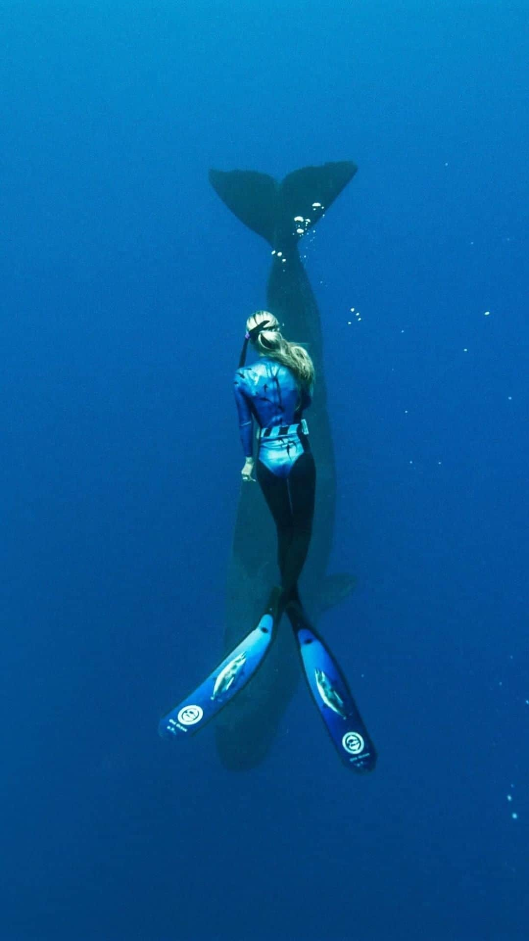 ブレモンのインスタグラム：「Where will you take your Supermarine?   @oceanramsey takes the Supermarine Ocean to the depths, diving with Sperm Whales 🐋  #ocean #oceanlife #bremontwatches #supermarine #bremontsupermarine #sealife #divewatches #diving」