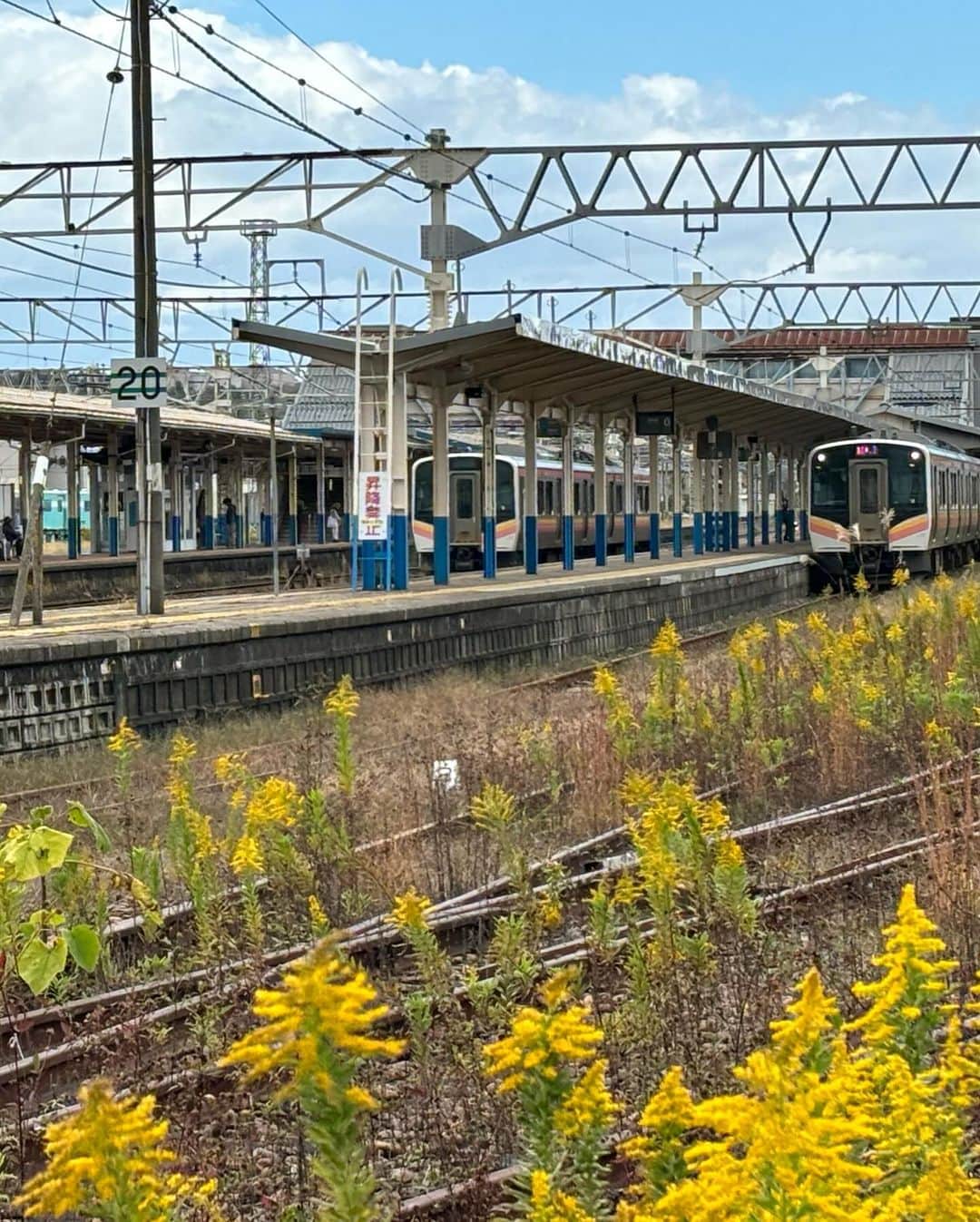 吉川正洋さんのインスタグラム写真 - (吉川正洋Instagram)「今日は柏崎駅から新潟駅まで越後線の旅でした。とても味わい深い旅になりましたのでどうぞ放送をお楽しみに！  鉄道ひとり旅、ごきげんよう！！  #鉄道ひとり旅」10月30日 21時41分 - dhyoshikawa