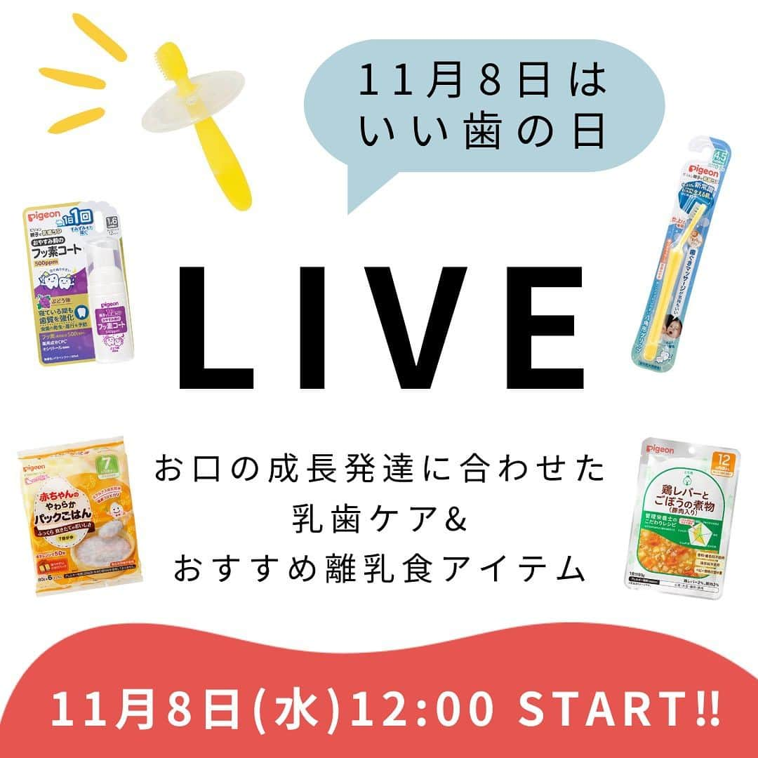 ピジョンのインスタグラム：「11月8日はいい歯の日🦷✨ ということで！インスタライブを開催します🎉✨  歯みがきっていつから？ 何を使えばいいの？ 仕上げみがきの秘密兵器😏✨ などなど、赤ちゃんの乳歯ケアに関する内容をライブでお届けします🎤  また、赤ちゃんのお口の成長発達によって乳歯ケアアイテムはもちろん、食べるものも変わってくるので、日頃皆さんからたくさんリクエストをいただく離乳食のおすすめアイテムも合わせてご紹介します🍚🥕🍴  ライブ中でもできる簡単レシピのご紹介や、離乳食の中身も実際に開封してお見せしますよ〜🎊  キャンペーンやプレゼントのご紹介もあるので、是非リマインダー設定してご覧ください💁‍♀️🎁 ライブで聞きたい質問はコメント欄やストーリーズのアンケートで教えてくださいね👂✨  #いい歯の日 #赤ちゃんの歯みがき #赤ちゃんの歯磨き #歯みがきデビュー #乳歯ケア #赤ちゃんの虫歯予防 #インスタライブ #離乳食 #離乳食初期 #離乳食中期 #離乳食後期 #簡単離乳食 #簡単離乳食レシピ #時短離乳食 #時短離乳食レシピ」