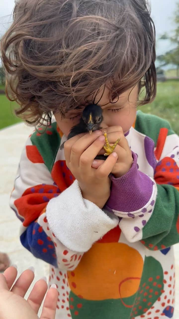 Giovanna Ewbankのインスタグラム：「É emocionante ver o amor do nosso Baby Z com a natureza e os animais. E ver que o que nós temos construído para os nossos filhos tem se aflorado cada dia mais na vida deles! Esse vídeo é um pouquinho do que vivemos nesse final de semana no @ranchodmontanha 💕」