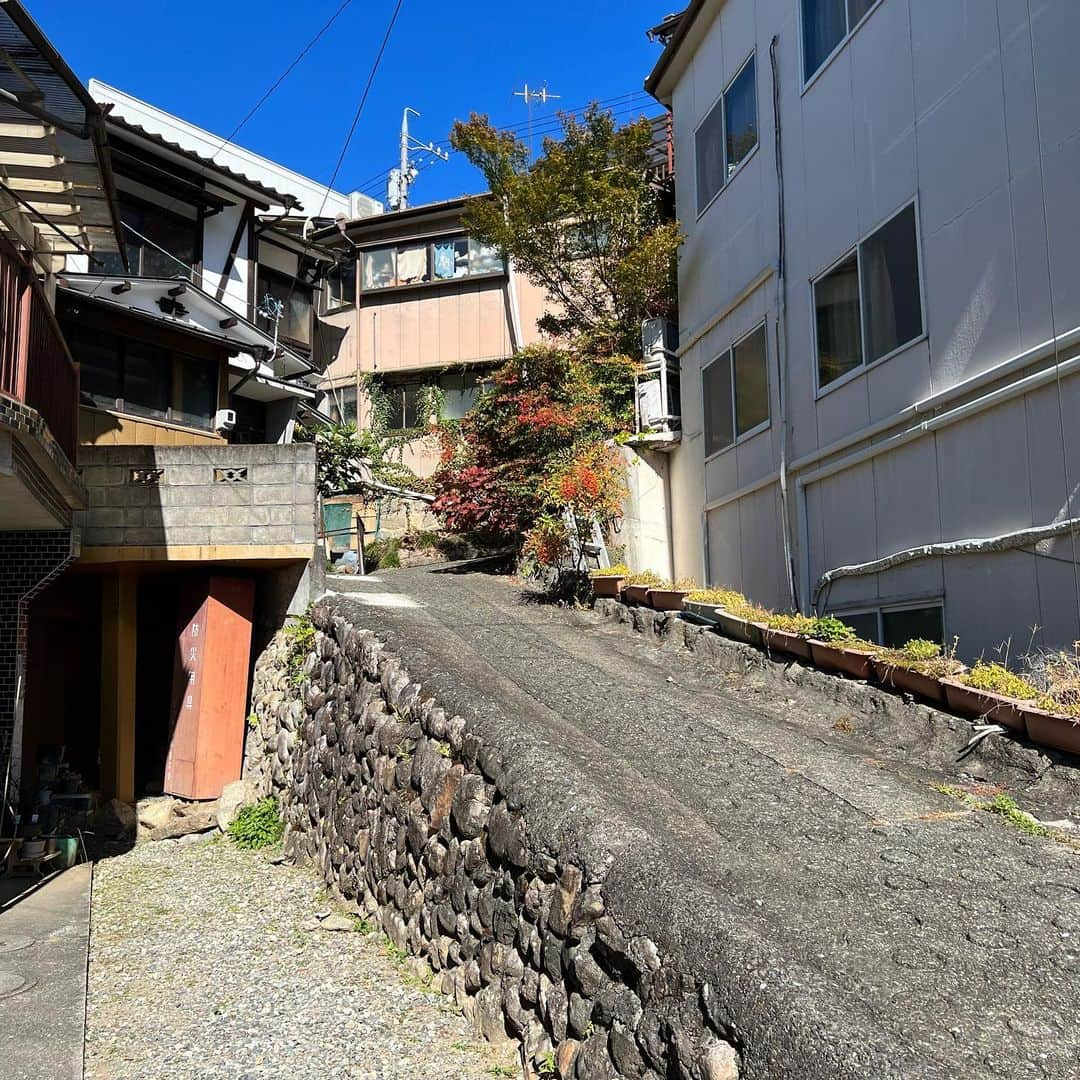 能町みね子さんのインスタグラム写真 - (能町みね子Instagram)「飯田はすべての道が坂です ゆるやかな坂か、急な坂です 平らは存在しません 最高の街です」10月30日 22時29分 - nmcmnc