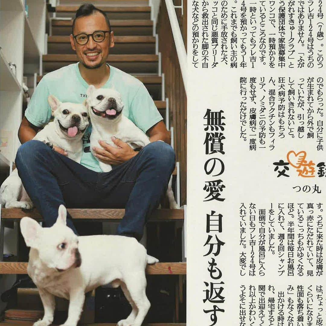 つの丸さんのインスタグラム写真 - (つの丸Instagram)「読売新聞夕刊「交遊録」全４回の最終回。 散歩中よく「新聞見たよ」と声かけてもらいました。 ありがとうございました😊  #ペット交遊録 #frenchbulldog #フレンチブルドッグ #ふがれす #ふがふがれすきゅークラブ #保護犬 #保護犬を家族に #保護犬を家族に迎えるという選択肢 #フレ吉124号」10月30日 22時41分 - ge_ha_mob