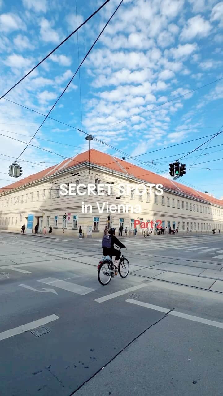 のインスタグラム：「Vienna’s best-kept secrets are waiting to be explored! 🤩🤫Ready? The unique museum📍Narrenturm (engl. Fool‘s Tower) with the world’s largest public collection of anatomical pathology exhibits. 🩺 @nhmwien   🎥 @hendrikobleser & @johannahgn   #vienna #wien #viennanow #hiddengems #traveltips #austria #feelaustria #viennawaitsforyou #citytrip #anatomy #anatomicalpathology #historicarchitecture #museum #uniquetravel」