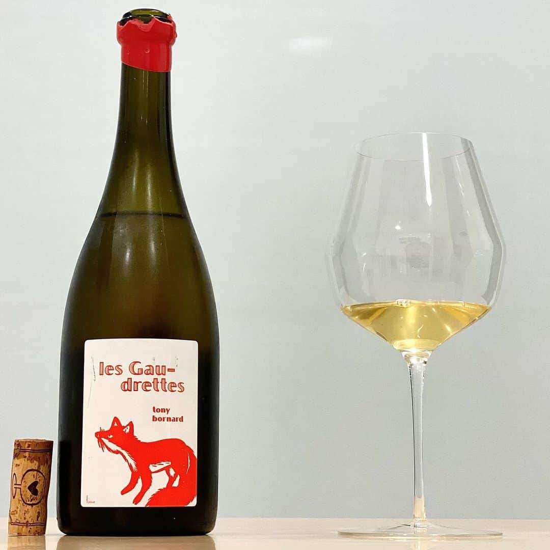 エンリケ・ソラ・クレメンテのインスタグラム：「les Gaudrettes "Troisième Tirage" 2018 Côtes du Jura, Tony Bornard. Chardonnay de viñedos situados en el municipio de Pupillin en la región de Jura de suelos arcillo-calcáreos sobre margas. Fermentación alcohólica espontánea y crianza de 12 meses en demi-muids. Con tensión, salino, crujiente y vibrante. Degustado en Mark Thomas Double Bend Red Expression. Philippe Bornard vive en el pueblo de Pupillin, en la región del Jura, cerca de la frontera con Suiza. Sus viñedos fueron heredados de su padre, que anteriormente solo vendía sus uvas a la cooperativa local.  Cuenta la historia de que fue Pierre Overnoy, otro Vigneron de Arbois, quien convenció a Philippe para que elaborase sus propios vinos. Desde 2005 empezó a elaborar sus propios vinos y cultiva sus viñedos de suelos arcillosos y piedra caliza jurásica de grandes altitudes bajo una agricultura biodinámica (certificados desde el año 2012), donde cubren dos denominaciones, Côtes du Jura y Arbois-Pupillin.  Trabaja con las variedades tintas de Poulsard, Trousseau y Pinot Noir, y las blancas Savagnin y Chardonnay y una pequeña parcela de Melon à Queue-Rouge (una mutación de la Chardonnay). En la actualidad, es Tony, su hijo, quien dirige la bodega familiar con unas 11 hectáreas de viñedo, ya que antes se había puesto por su cuenta a elaborar vinos desde 2013. Feliz semana!!! 🍷   #tonybornard #lesgaudrettes #cotesdujura #jurawine #pupillin #markthomasglassware #markthomas #vindefrance #chardonnay #naturalwine #vinnaturel」