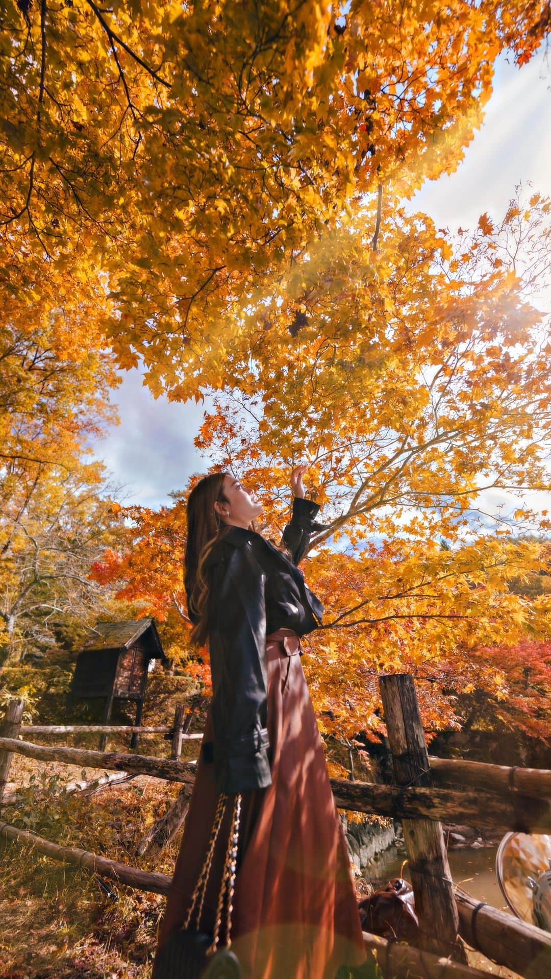 Stella Leeのインスタグラム：「Exploring Hida no Sato, Takayama on late October 2023. It was very beaufiful and the tree has turned yellow and red 🍂」