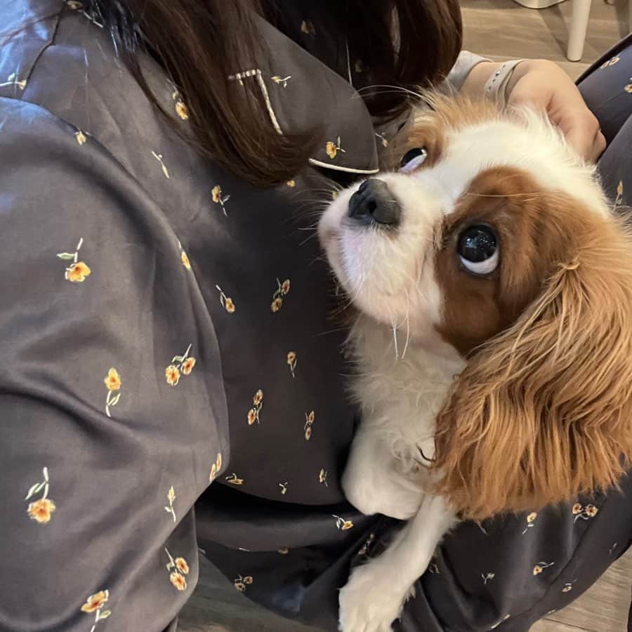 早川聖来のインスタグラム