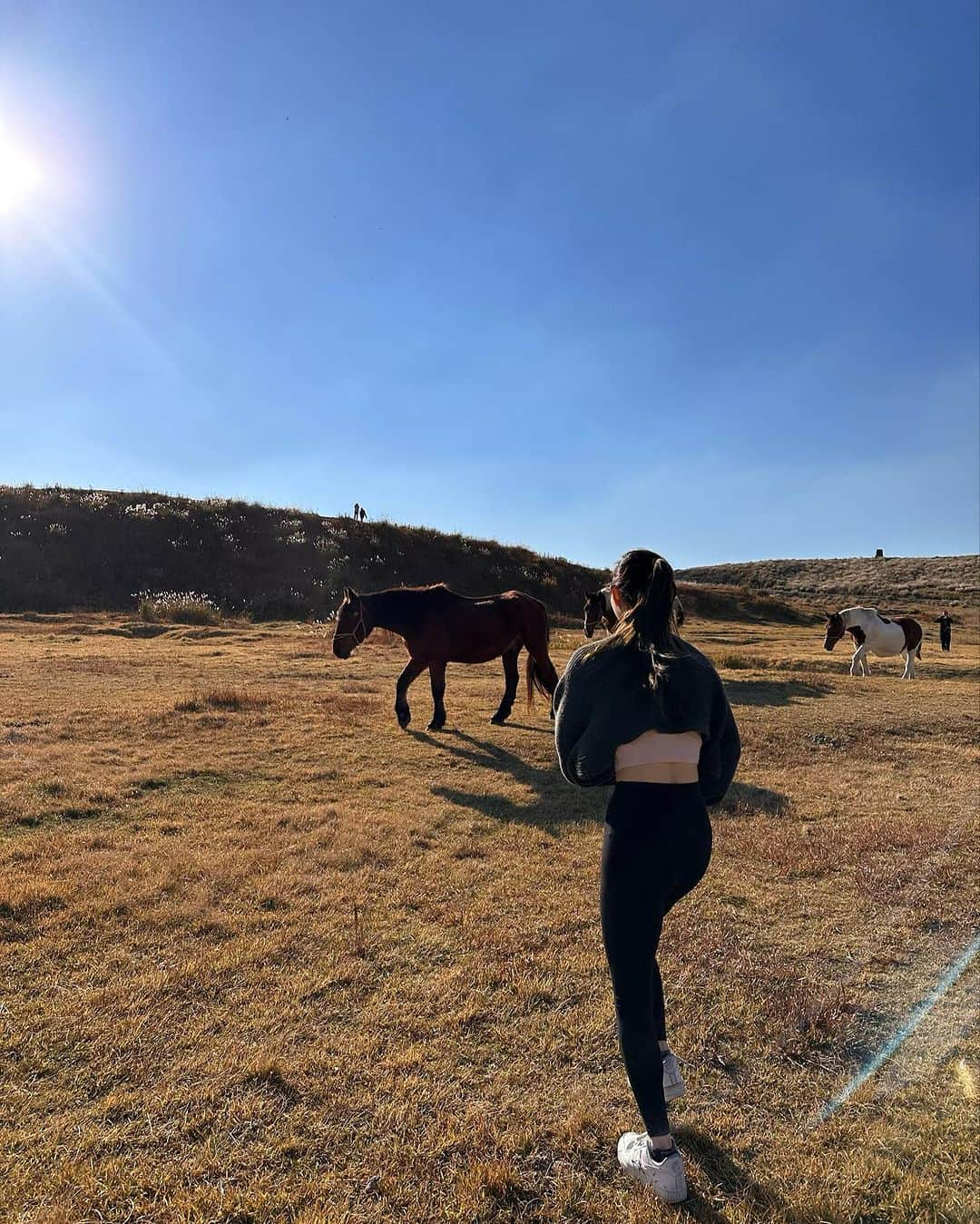 齊藤家澄さんのインスタグラム写真 - (齊藤家澄Instagram)「はじめてきた！ くまモン(●ﾟ(ｴ)ﾟ●)大自然🏔´-📸  りょうさん、ついきしゃんありがとうございます꒰ᐡɞ̴̶̷ ̫ ɞ̴̶̷⸝⸝꒱☀️☀️☀️  #海外みたいな  #阿蘇  #熊本  #🐴  #ちょっとラクダ🐫さんみたいな  #おうまさん  #馬  #horse  #おそろの馬のしっぽ  #うまちゃんに無視される✨  #うまちゃんになんだこいつっていわれた！  #そうです！わたしが変なおじさんです！  #かわいいかった🐴✊🏻🤎 ずっとこの曲頭からはなれられません> ̫ <;のでシェア」10月30日 23時13分 - kanchi_w