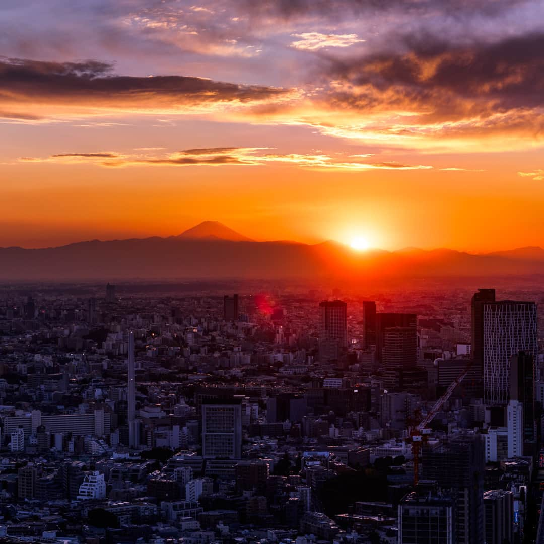 Tokyo City View 六本木ヒルズ展望台のインスタグラム