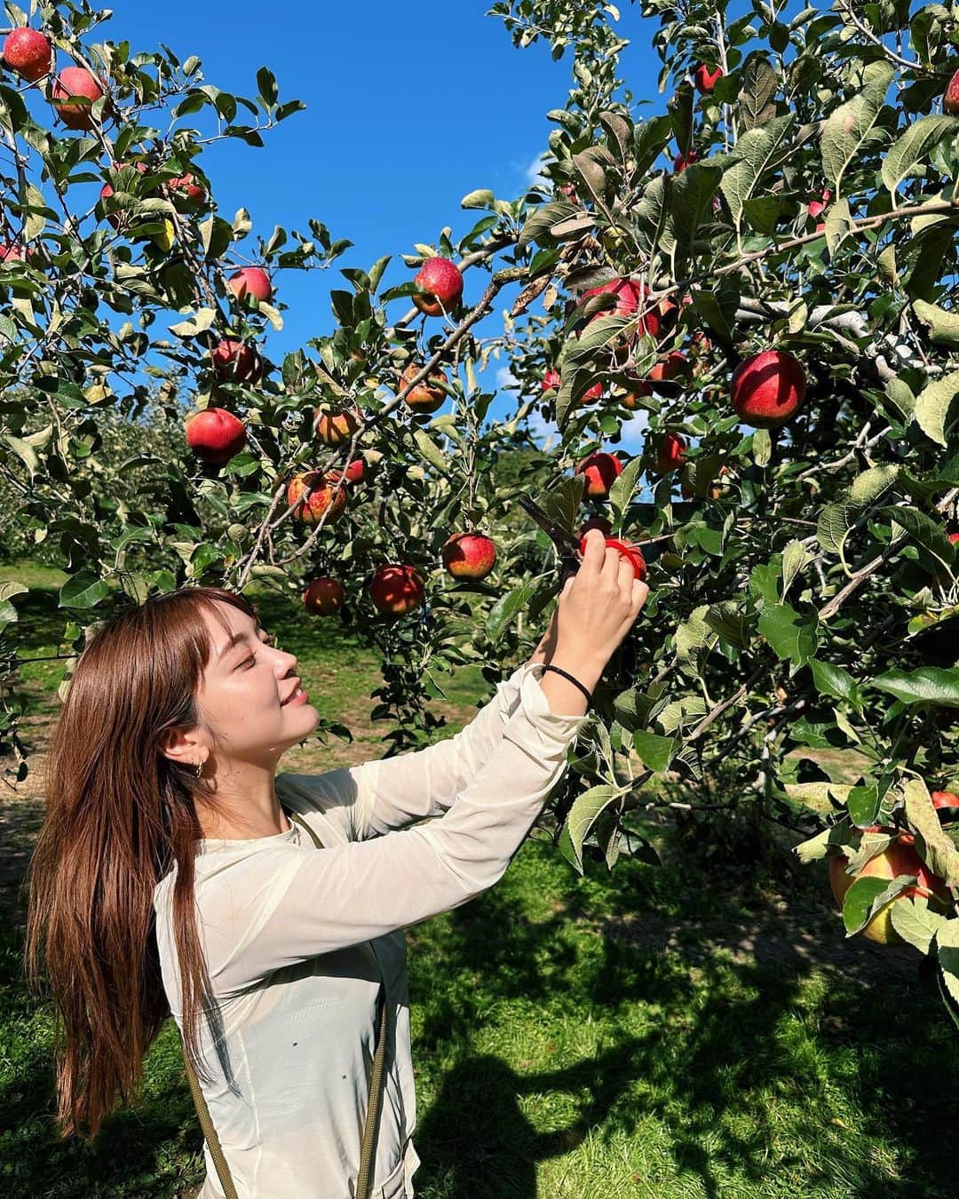 久恒美菜さんのインスタグラム写真 - (久恒美菜Instagram)「果物が大好きな娘。りんご、梨、シャインマスカットと初めてのフルーツ狩りに大興奮🍎🍐🍇  りんごをいれるバケツを選ぶ時「これ、娘ちゃんがピンク好きだからピンクなのかな？」と嬉しそうにしていた。 その感性、彼女の自由な事実の受け取り方に、いつも私は心が弾みます🧠そうよー あなたが、私が、望むように世界は出来ていくはずだよね。🌎  大きい牛を見た後には「娘ちゃん、ちょっと怖がってたねえ」と他人事のようにつぶやいていました。笑  楽しかったね🐄」10月30日 23時37分 - _mimico_