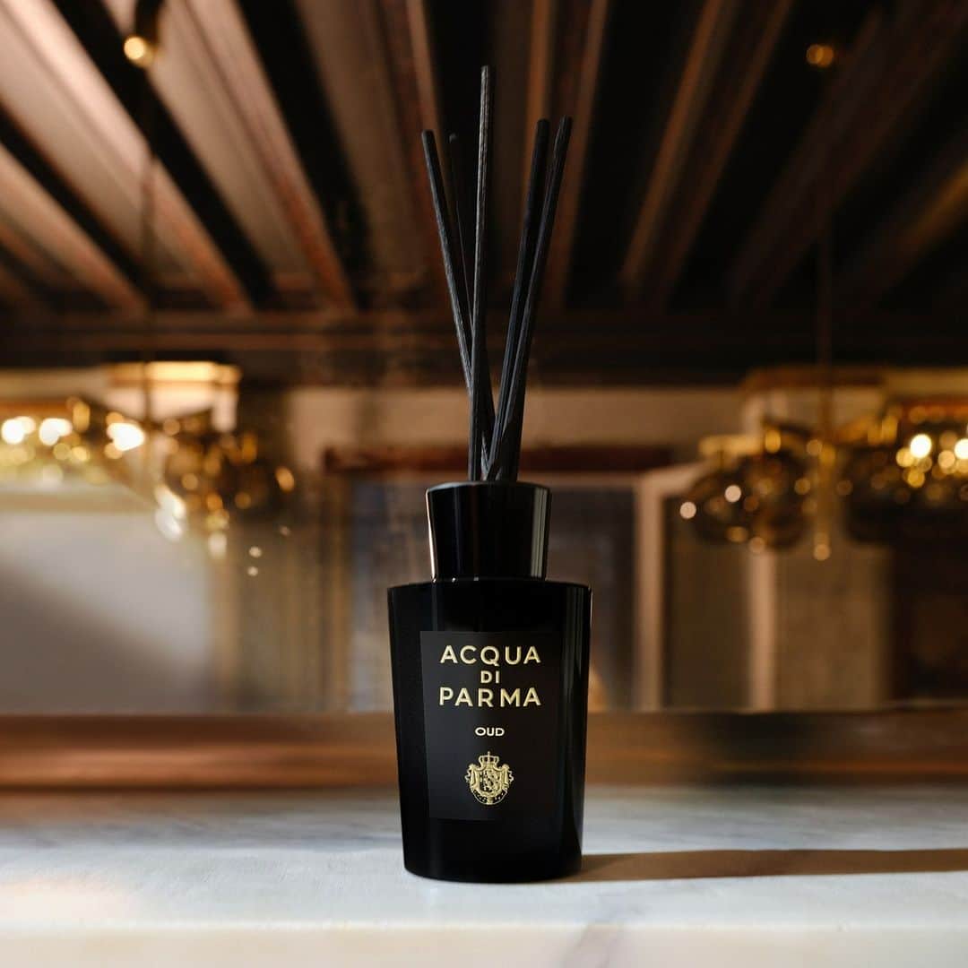 アクアディパルマのインスタグラム：「Welcome guests into your space with an embrace of olfactory splendor where Oud's depth meets the vibrancy of coriander and bergamot.  #AcquadiParma​ #ItalianLifestyle #theessenceofItalianlife #HomeCollection #oud #Signaturesofthesun」