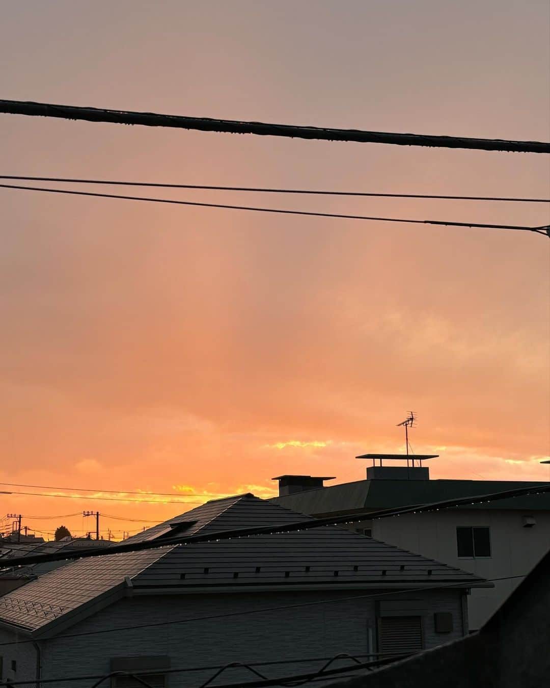 山本 絵里加さんのインスタグラム写真 - (山本 絵里加Instagram)「. 久々にマック🍟のハンバーガーたべたら美味しくすぎて驚いた。たまにはよいですネと日々のなんでもない写真たちまとめ。」10月31日 0時39分 - ___erika___y