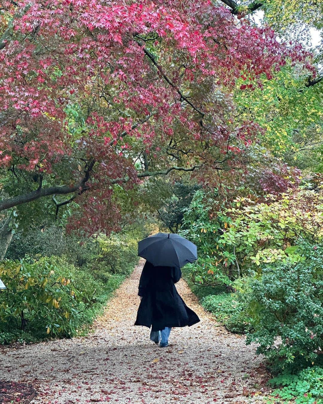 ジェイミー・アレクサンダーさんのインスタグラム写真 - (ジェイミー・アレクサンダーInstagram)「Fall🍁🍂🎃 #NYC」10月31日 0時32分 - jaimiealexander