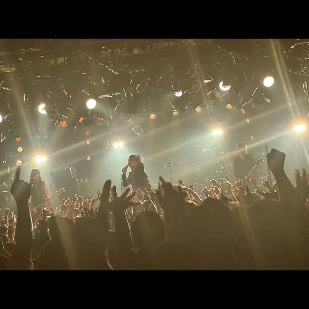 佐々木亮介さんのインスタグラム写真 - (佐々木亮介Instagram)「Happy Yappy Bloodhunt in Tokyo ʕ•ᴥ•ʔ @a_flood_of_circle_official」10月31日 0時36分 - ryosukesasakileo