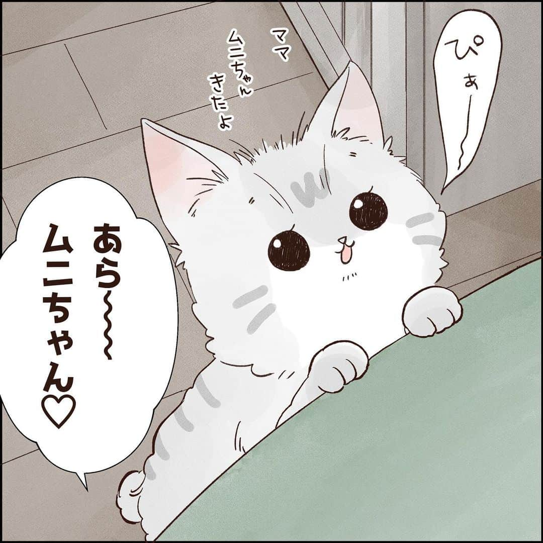 こじめさんのインスタグラム写真 - (こじめInstagram)「【調教済み】  これは抗えまいて  #猫漫画 #にゃんすたぐらむ  #保護猫 #サバ白　 #コミックエッセイ #エッセイ漫画 #猫のいる暮らし #catcomic」10月31日 20時00分 - cojime