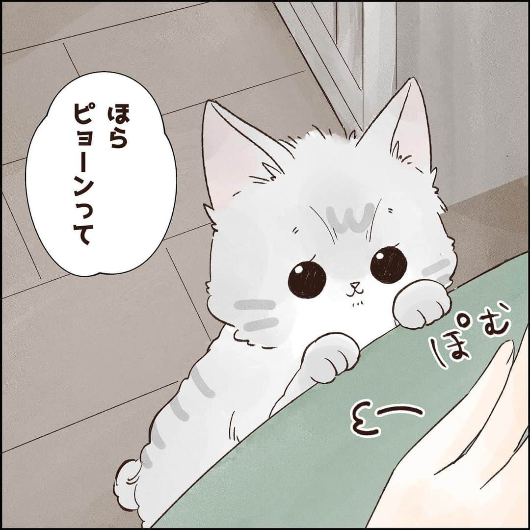 こじめさんのインスタグラム写真 - (こじめInstagram)「【調教済み】  これは抗えまいて  #猫漫画 #にゃんすたぐらむ  #保護猫 #サバ白　 #コミックエッセイ #エッセイ漫画 #猫のいる暮らし #catcomic」10月31日 20時00分 - cojime