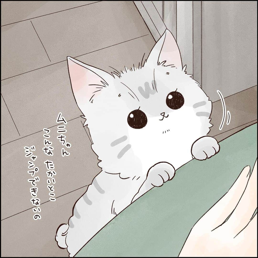 こじめさんのインスタグラム写真 - (こじめInstagram)「【調教済み】  これは抗えまいて  #猫漫画 #にゃんすたぐらむ  #保護猫 #サバ白　 #コミックエッセイ #エッセイ漫画 #猫のいる暮らし #catcomic」10月31日 20時00分 - cojime