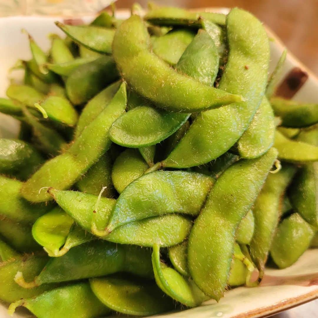 HBC北海道放送アナウンス部さんのインスタグラム写真 - (HBC北海道放送アナウンス部Instagram)「卓田和広です。 我が家の枝豆が豊作です！ 8月に「もう遅いかな？」と思いながら蒔いた種が、霜が降りる前に何とか間に合いました。 「くらかけ豆」という希少な品種で、一見、黒ずんでいるように見えますが、豆の味が濃厚で甘くて美味しい！ ビール🍺との相性も最高です！ #家庭菜園  #枝豆 #くらかけ豆  #鞍掛豆 #パンダ豆  #ビールと枝豆  #収穫の秋  #家庭菜園ももうすぐ終わり #甘い枝豆」10月31日 11時00分 - hbc_announcer