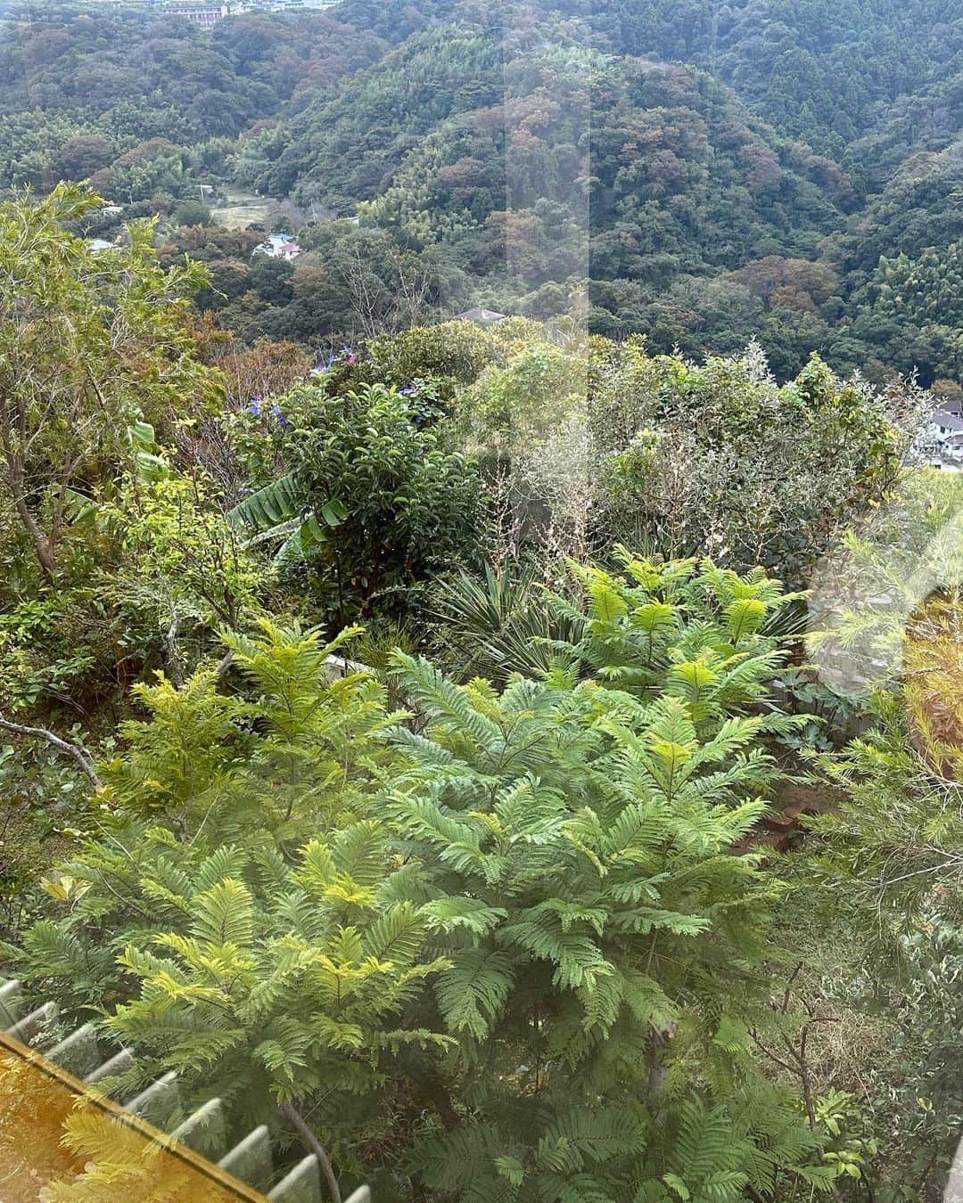 熊谷隆志さんのインスタグラム写真 - (熊谷隆志Instagram)「view frnm bedroom」10月31日 10時53分 - takashikumagai_official