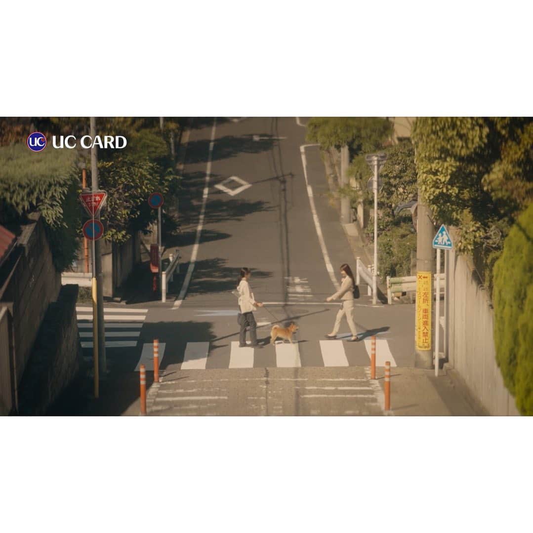 SHISHAMOのインスタグラム：「🎉🐕新曲「犬ころ」ユーシーカード新WEB CM 決定🐕🎉  明日11/1(水)から流れる ユーシーカードの新WEB CM 「ちょっと素敵な帰り道」篇のCMソングに SHISHAMOの新曲「犬ころ」が決定しました🎊!!!  HPやストーリーから是非チェックしてください🤳  #shishamo」