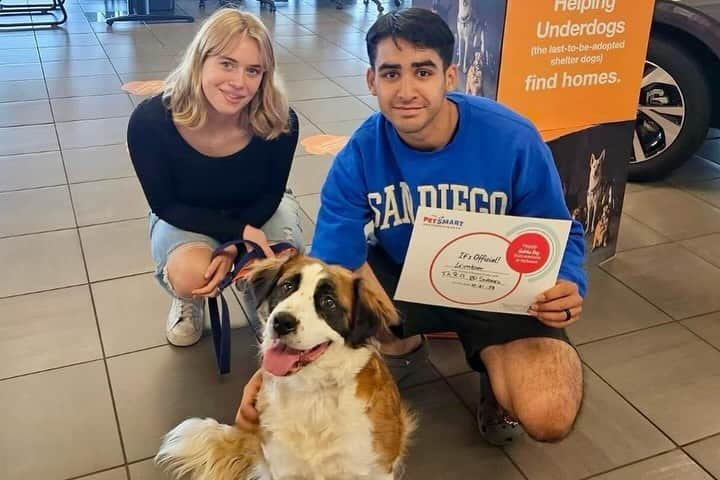 Subaru of Americaさんのインスタグラム写真 - (Subaru of AmericaInstagram)「Subaru retailers went all out for #SubaruLovesPets month! 🐾 They organized adoption events, pet parties, and hosted volunteer opportunities.   #MoreThanACarDealer   (📸1: @mmsubaru, 📸2: @caseysubaru, 📸3: @subaruoflittlerock, 📸4:  @crosscreeksubaru, 📸5: @subaruofwichita)」10月31日 2時55分 - subaru_usa