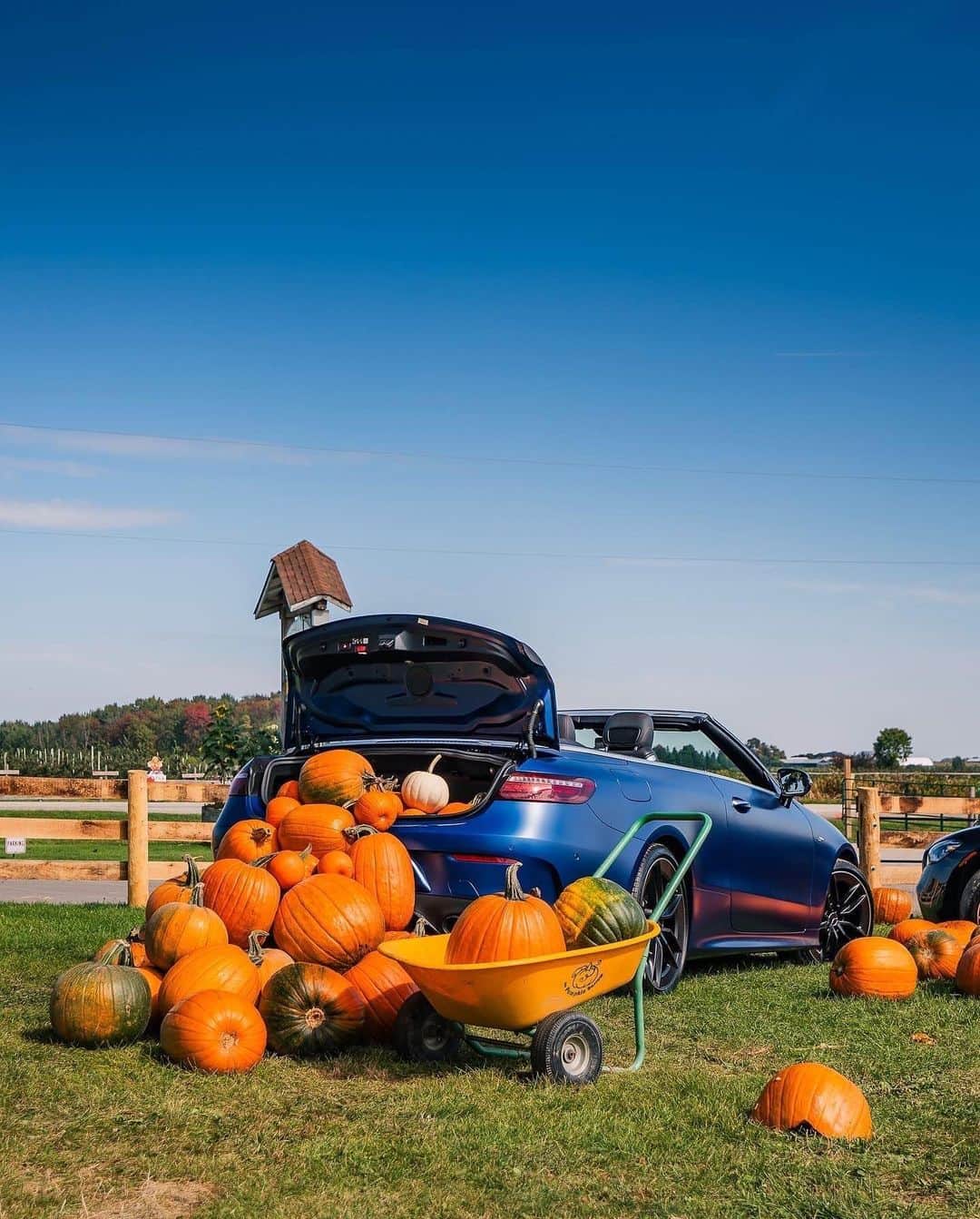メルセデス・ベンツさんのインスタグラム写真 - (メルセデス・ベンツInstagram)「Ready, set, pumpkins in the trunk! We are ready for Halloween.  📸 @mbbrampton   #MercedesBenz #MercedesAMG #MBfanphoto #MyAMG」10月31日 3時59分 - mercedesbenz