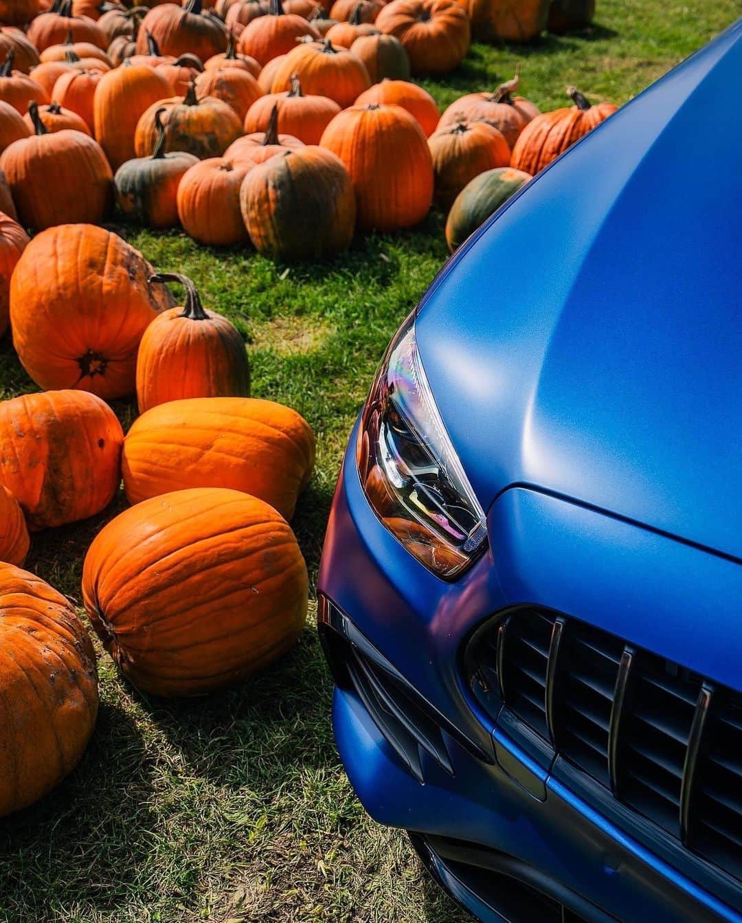 メルセデス・ベンツさんのインスタグラム写真 - (メルセデス・ベンツInstagram)「Ready, set, pumpkins in the trunk! We are ready for Halloween.  📸 @mbbrampton   #MercedesBenz #MercedesAMG #MBfanphoto #MyAMG」10月31日 3時59分 - mercedesbenz