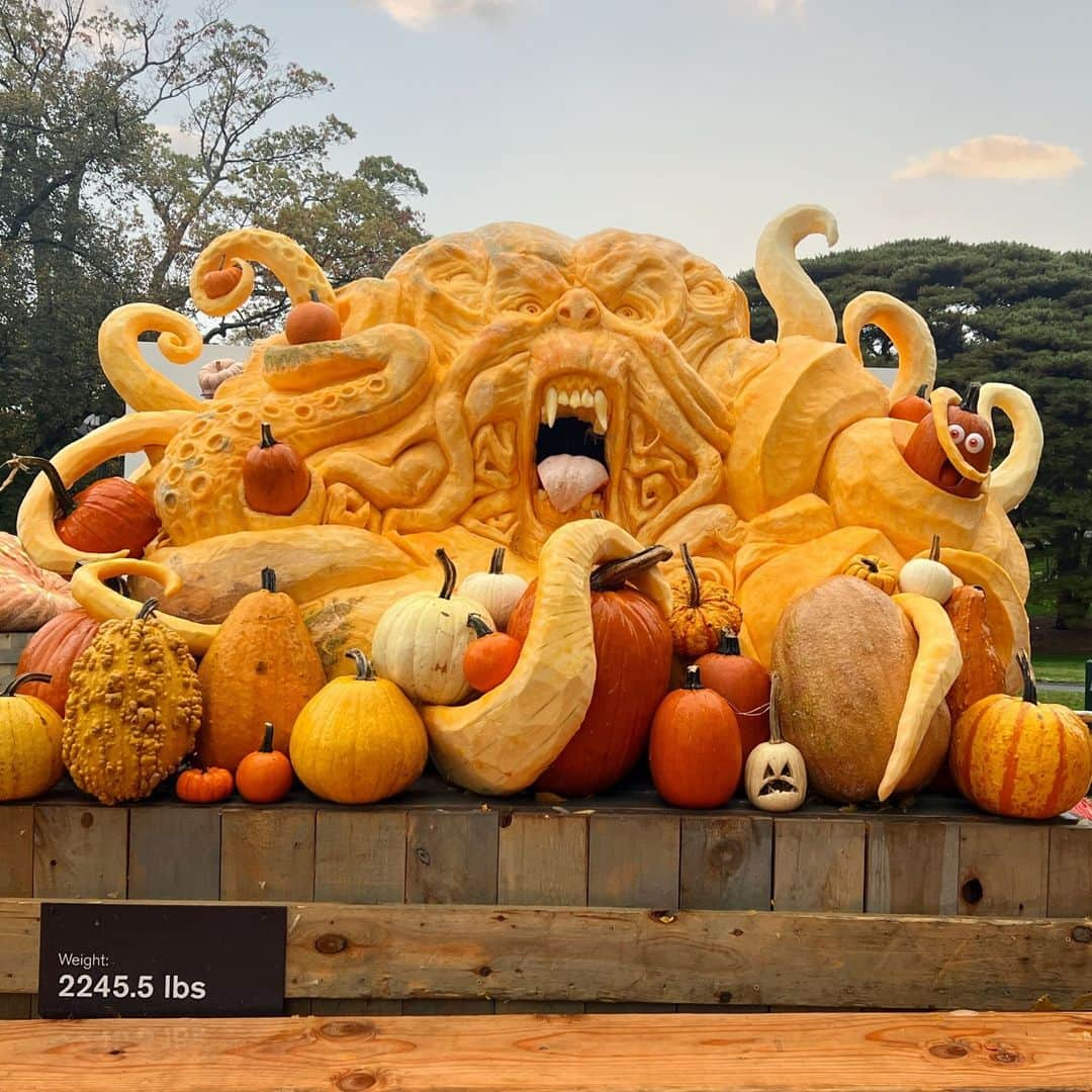 ニューヨーク植物園のインスタグラム：「After an entire weekend of carving this 2,246-lb. pumpkin, a botanical beast at last emerged—tentacles and all! 🎃✨  This year’s #FallOWeen finale was a marathon of crafting by @adambierton and @lennycalvincreations as they brought this monster to life to the delight of thousands of costumed kids and families. And while this season’s Pumpkin HQ festivities are behind us, fall is only just getting started as the colors of the foliage reach peak and paint the Garden in bright reds, oranges, and yellows.  With #FallForestWeekends kicking off this Saturday, Japanese chrysanthemums on view for Kiku, and fall beauty everywhere you look, make a trip to NYBG to celebrate the season at its finest.」