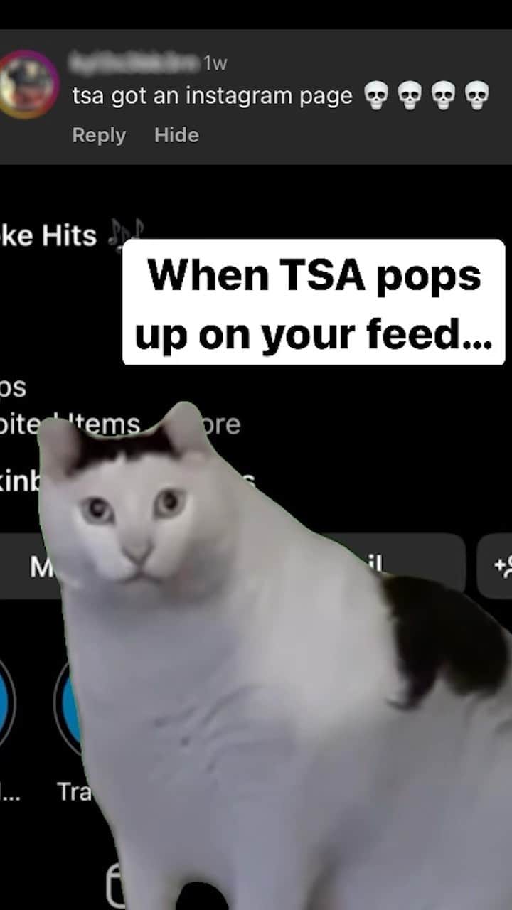 アメリカ運輸保安局のインスタグラム：「Cat’s been out the bag since 2013…  Are you saying wait a meow-ment? Yes, this is TSA’s official government account, and it’s okay if you’ve found it a-mew-sing. All kitten aside, we truly aim to educate travelers with a little claw-ver humor. Some find it hissterical and others love our extensive pun vo-cat-bulary. After all, it’s the purr-fect mixture.  Do all these cat puns have you feline like: “Let meowt?” No worries, we have less purranormal cativities through the link in our bio. It’s paw-sible you’ll find what you knead, as it’s littered with info on TSA PreCheck, customer service options, and more.  #ChonkyCat #CatMemes #Huh」