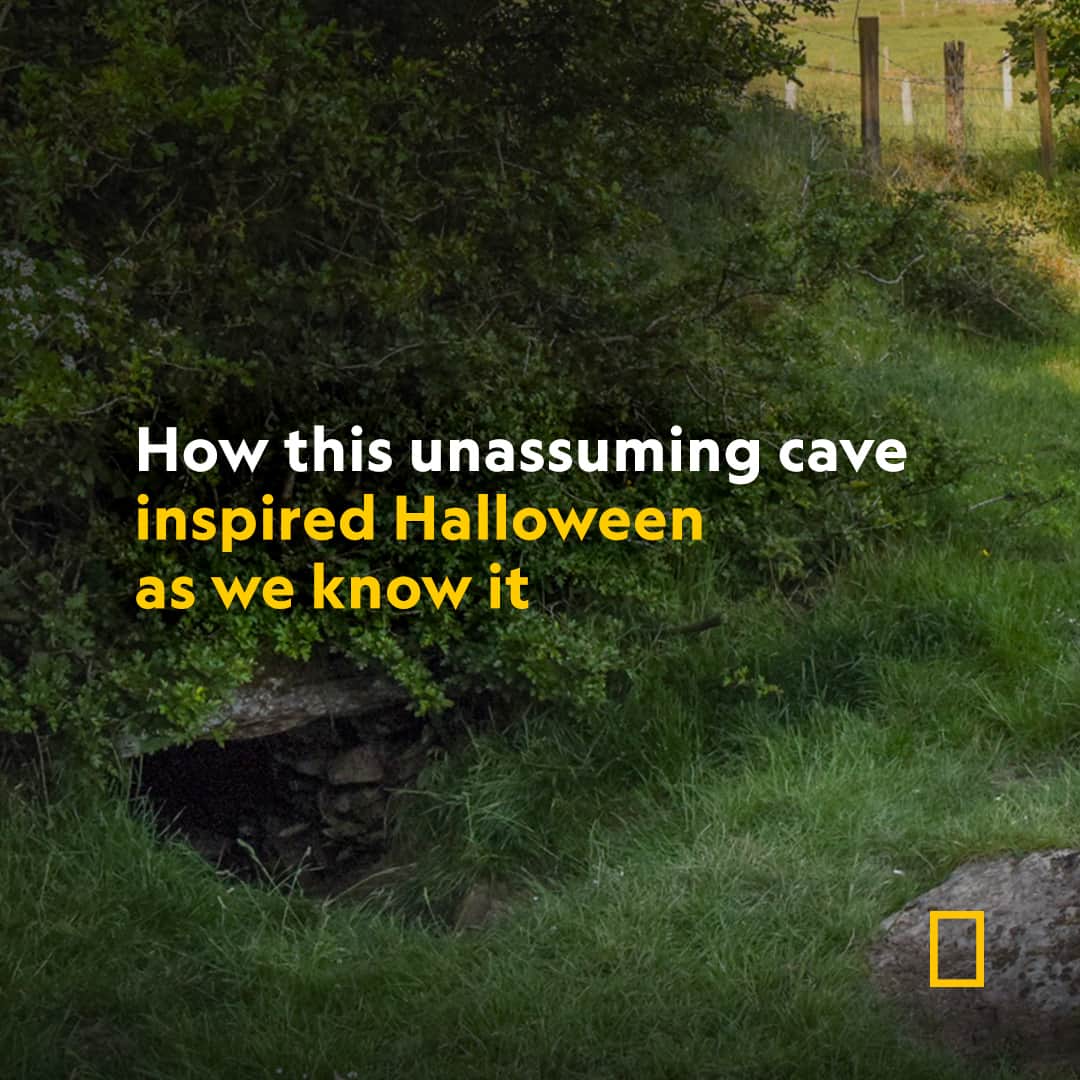 National Geographic Travelのインスタグラム：「The Oweynagat cave in Rathcroghan, Ireland is known as a gateway to the demon-filled underworld and the birthplace of the Samhain festival—the traditional roots of Halloween.  Discover more at the link in bio—if you dare.  Photograph by Ronan O'Connell」